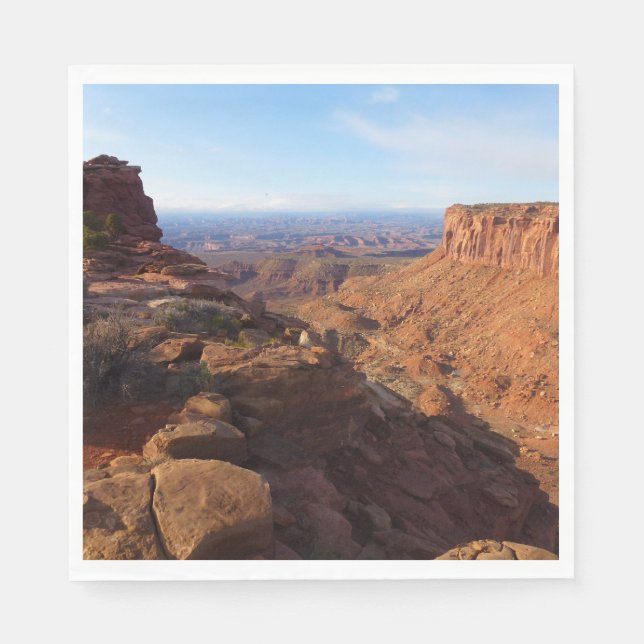 Grand View Point at Canyonlands National Park Paper Napkins (Front)