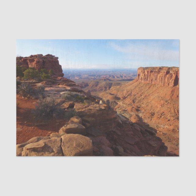 Grand View Point at Canyonlands National Park Tissue Paper (Front)