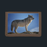 Grand Wolf Trifold Wallet<br><div class="desc">Beautiful photo of a wolf standing on a mountain looking grand! This is a great wallet to keep or give as a gift for nature and wolf lovers! Wallet is available in several different colors too.</div>