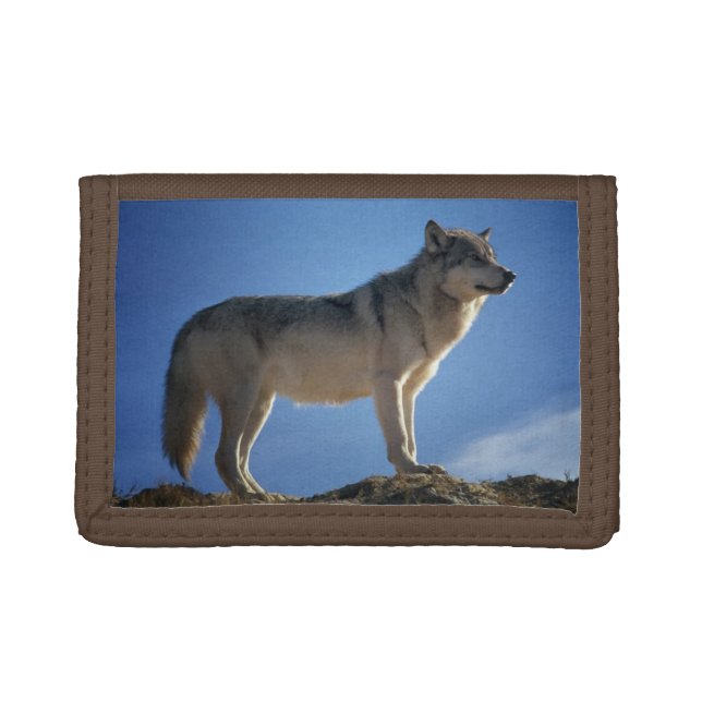 Grand Wolf Trifold Wallet (Front)