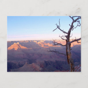 GrandCanyon-View#1 Postcard