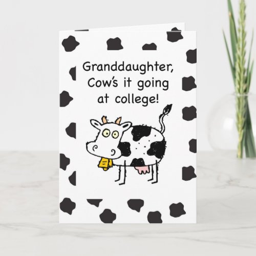 Granddaughter Away at College Thinking of You Cow Card