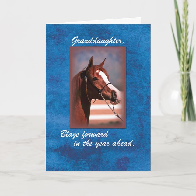 Granddaughter Birthday Horse on Blue Card (Front)