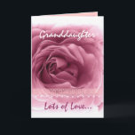 GRANDDAUGHTER Birthday - Pink Rose and Lace Trim Card<br><div class="desc">This birthday card with its pastel pink rose and lace is a sweet way to wish your very special granddaughter a Happy Birthday. To see more of my birthday cards,  type in or cut and paste into Zazzle's search box:  jaclinart birthday card</div>
