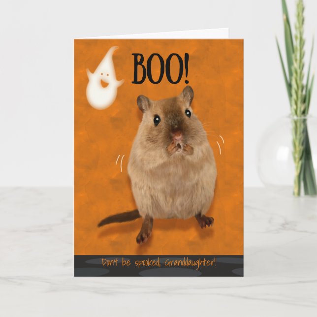 Granddaughter Boo Humorous Halloween Jumpy Gerbil Card (Front)