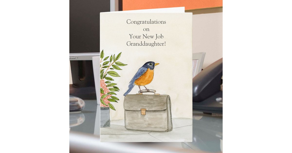 Granddaughter Congratulations New Job Robin Card | Zazzle