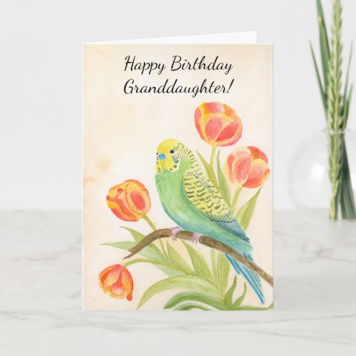 Granddaughter Happy Birthday Parakeet with Tulips Card