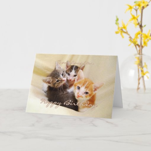 Granddaughter Happy Birthday Trio of Kittens Card | Zazzle