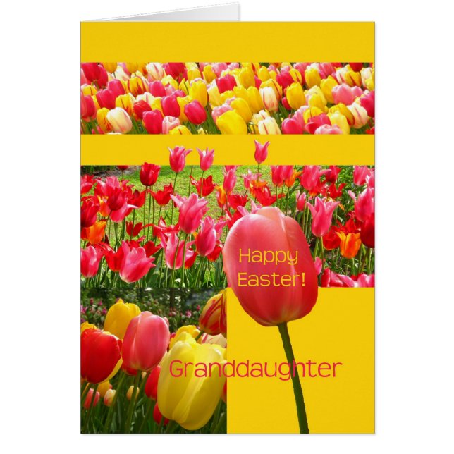 Granddaughter Happy Easter Tulip card (Front)