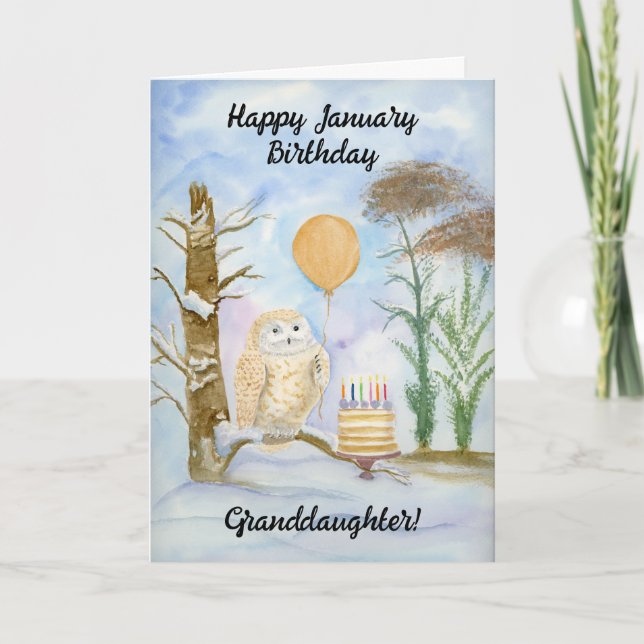 Granddaughter Happy January Birthday Owl Cake Card (Front)