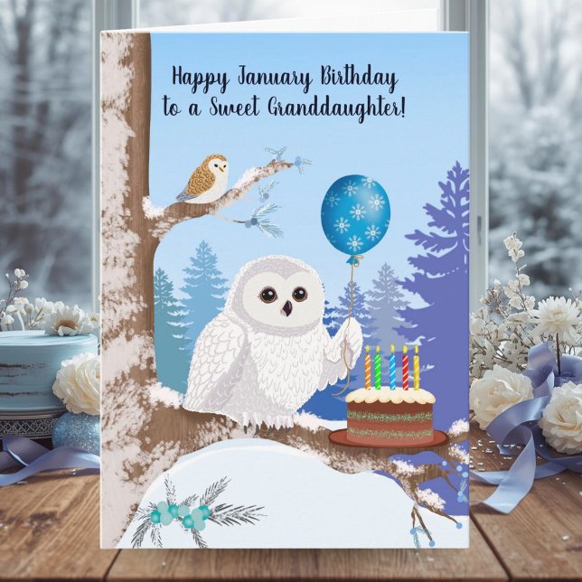 Granddaughter Happy January Birthday Snowy Owl Card (Creator Uploaded)