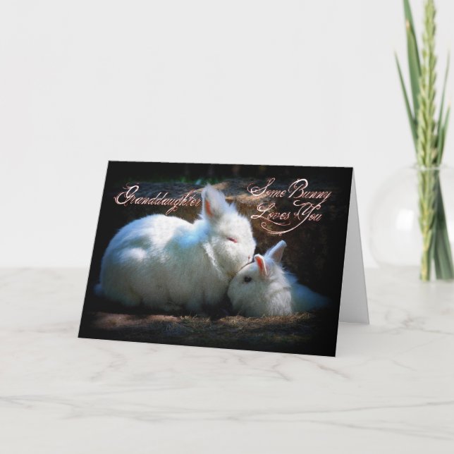 Granddaughter Kissing Bunnies Happy Birthday Card (Front)