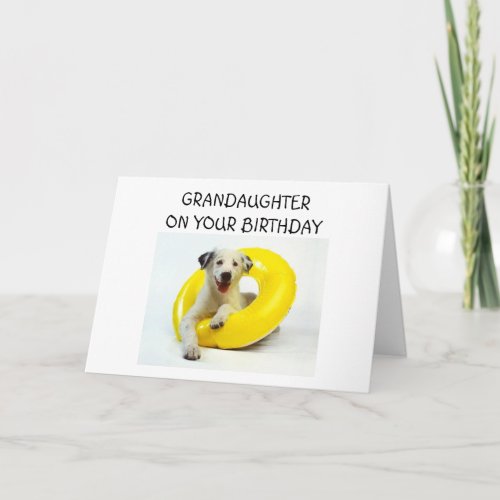 GRANDDAUGHTER ON YOUR BIRTHDAY CARD