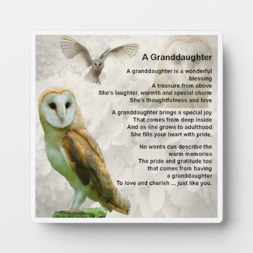 Granddaughter Poem Plaque _ Owl  Design