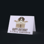 Granddaughter Puppy in Box Birthday Card<br><div class="desc">Birthday card. A (German Shorthaired) Pointer Puppy in a cardboard box. Congratulations. Customize this card for any age, recipient, color. A birthday to celebrate? Send a watercolor birthday card to your family and friends and wish them the sweetest birthday ever! This birthday card is available in some non English languages...</div>