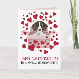 Granddaughter Puppy in Box Valentine's Card