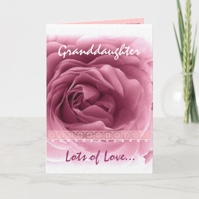 GRANDDAUGHTER Valentine's Day - Pink Rose & Lace Holiday Card (Front)