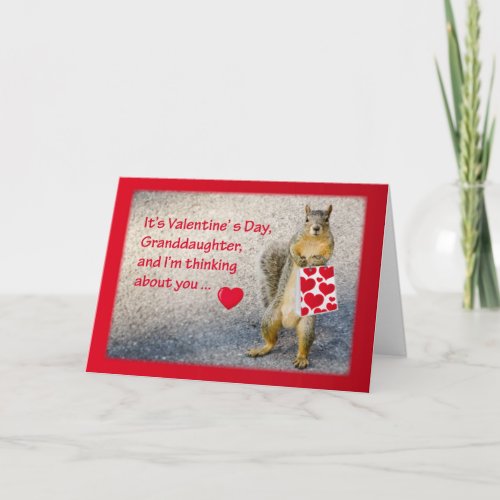 Granddaughter Valentines Day Squirrel Holiday Card