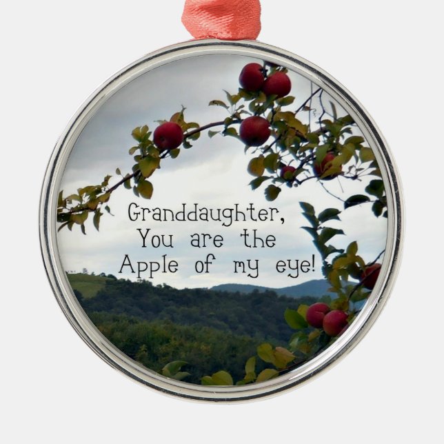 Granddaughter, You are the Apple of my eye! Metal Ornament (Front)