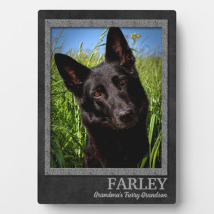 Granddog Gray and Brown Name and Photo Plaque