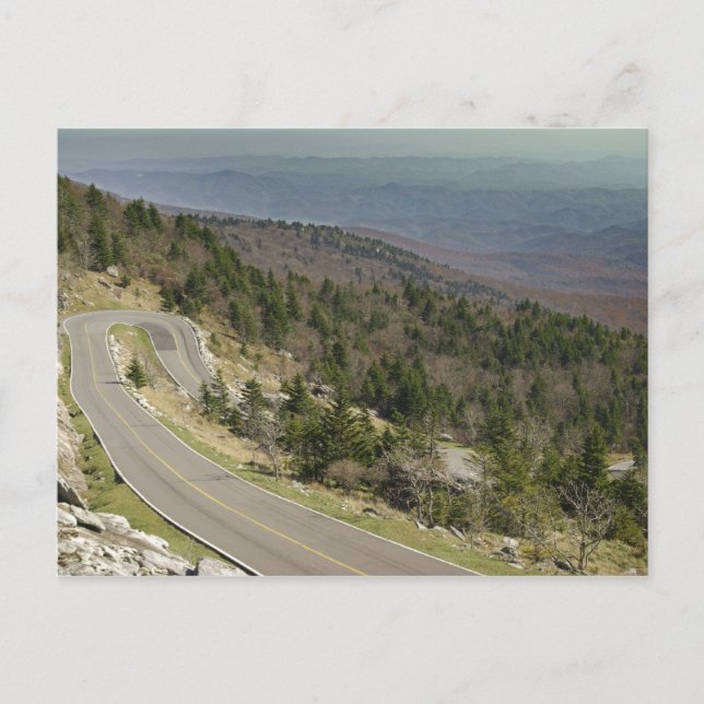 Grandfather Mountain Postcard (Front)