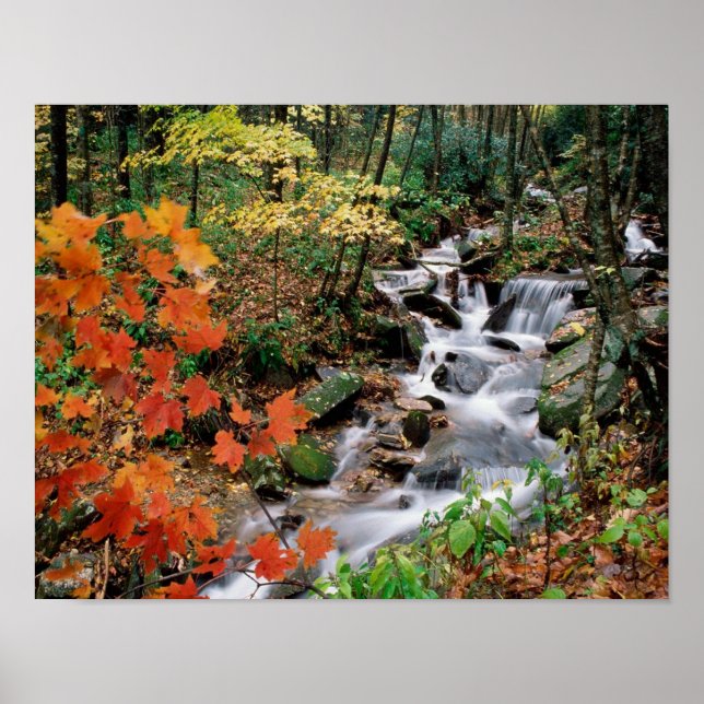 Grandfather Poster (Front)