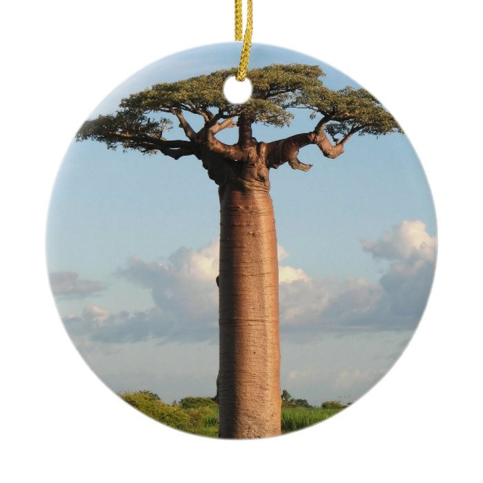 Grandidier's Baobab Madagascar Christmas Tree Ornament