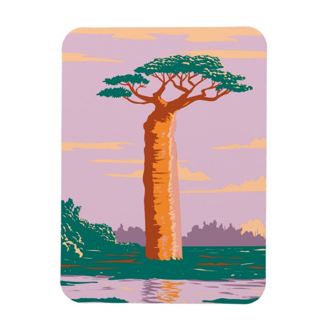 Grandidiers Baobab Magnet (Vertical)