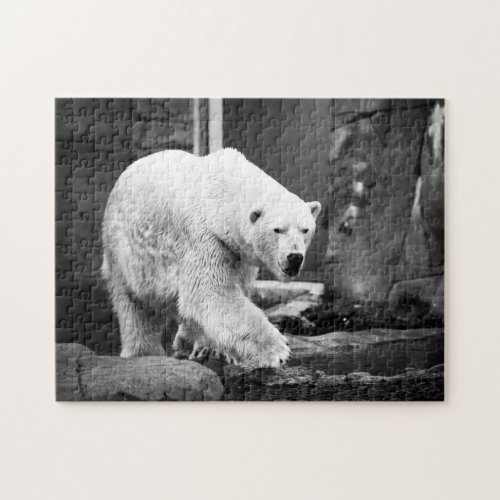 Grandiose Polar Bear Jigsaw Puzzle