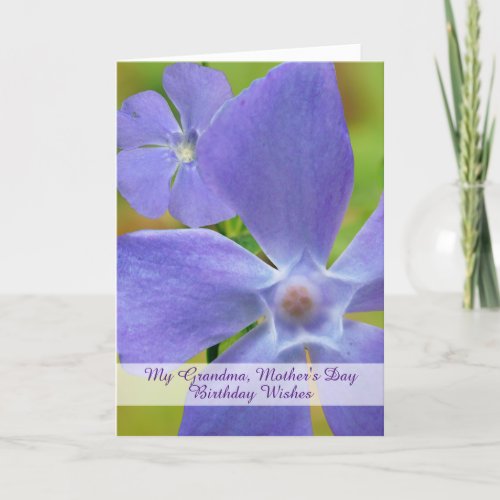 Grandma Birthday on Mothers Day Vinca Bloom Card