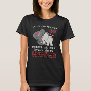 Grandma Elephant Baby Elephant Cute New Grandma An T-Shirt