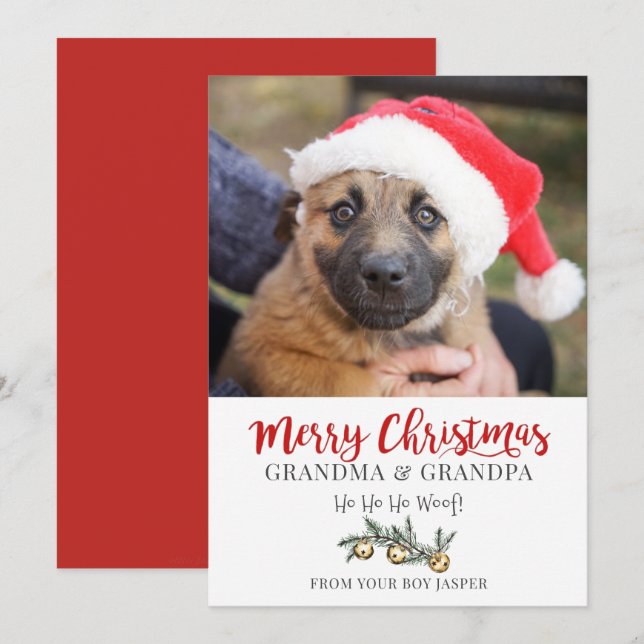 Grandma Grandpa Christmas From Dog Holiday Card (Front/Back)