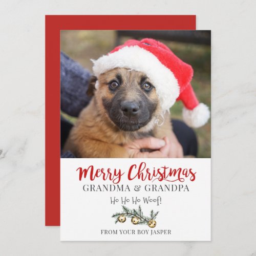 Grandma Grandpa Christmas From Dog Holiday Card