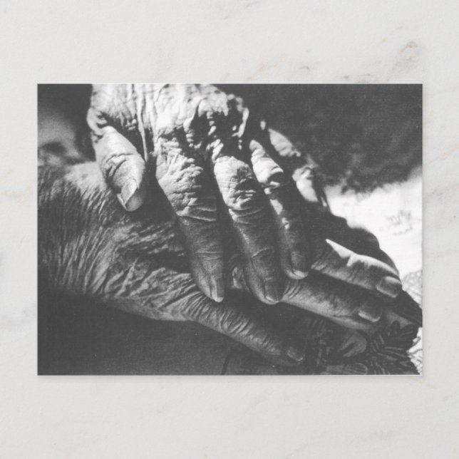 Grandma Hands Postcard (Front)