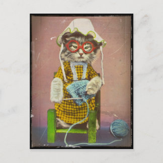 Grandma Kitty Knitting Holiday Postcard