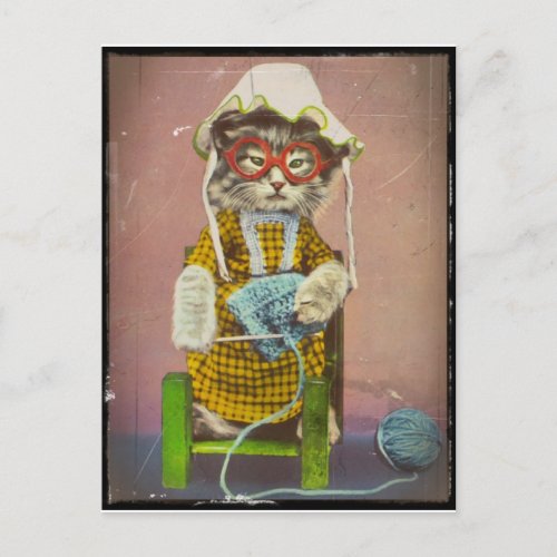 Grandma Kitty Knitting Holiday Postcard