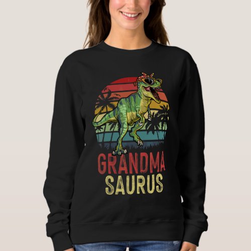 Grandma Saurus T_Rex Dinosaur  Grandma Saurus Moth Sweatshirt