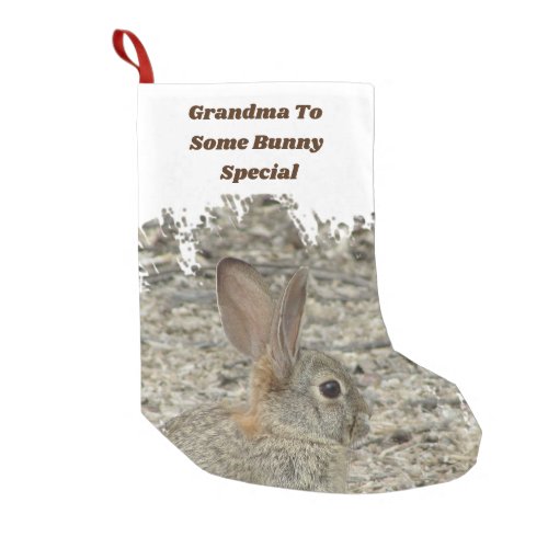 Grandma Somebody Special Funny Bunny Pun Humor Small Christmas Stocking