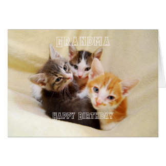 Grandma, Warm and Fuzzy Kitten Trio Happy Birthday Cards