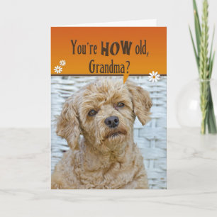 Grandma's Birthday Card