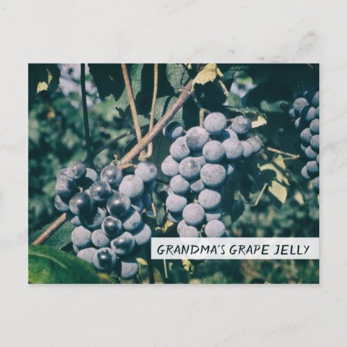 Grandmas Grape Jelly Recipe Purple Grapes Jam Postcard