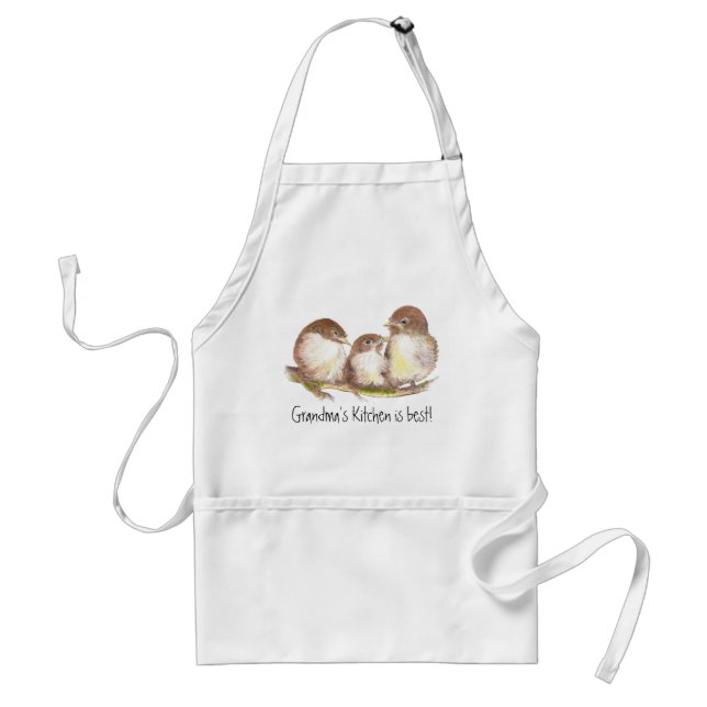 Grandma's Kitchen is Best ,Cute Family of Birds, Adult Apron (Front)