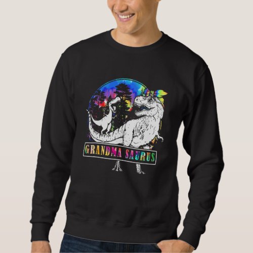 Grandmasaurus Dinosaur Grandma Saurus Matching Tie Sweatshirt