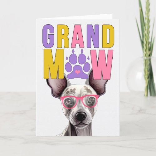 GrandMAW Hairless Terrier Funny Grandparents Day Holiday Card