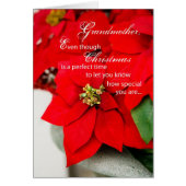 Grandmother Christmas Poinsettia (Front)