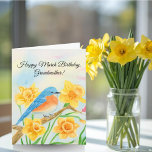 Grandmother Happy March Birthday Blue Bird  Card<br><div class="desc">This spring birthday card features a bluebird nestled among daffodil-filled branches, March’s birth flower, symbolizing hope, renewal, and happiness. The gentle spring imagery creates a cheerful and heartfelt design, making this card a thoughtful choice for celebrating a March birthday with warmth and meaning. This is a perfect birthday card for...</div>
