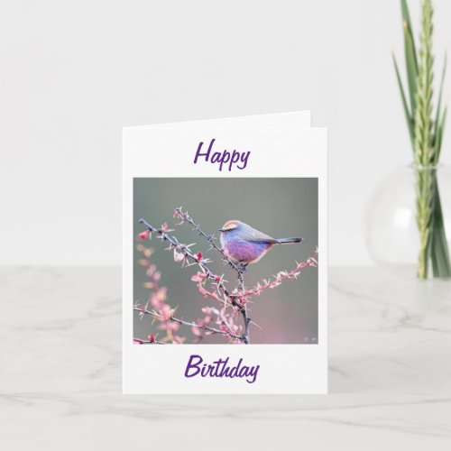 GRANDMOTHER ON YOUR BIRTHDAY WARBLER CARD