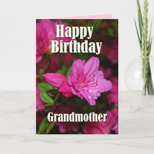 Grandmother Pink Azalea Happy Birthday Card