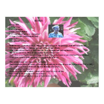 Grandmother's Swedish Rusks