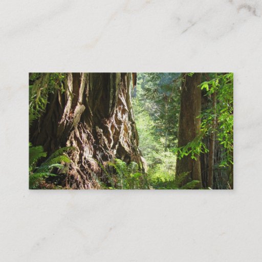 Customizable Grandpa business cards Redwood Trees